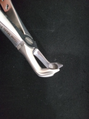 Extraction forceps 拔牙鉗