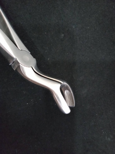 Extraction forceps 拔牙鉗