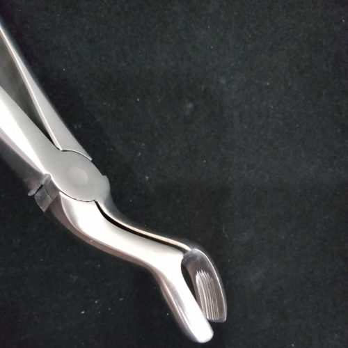 Extraction forceps 拔牙鉗