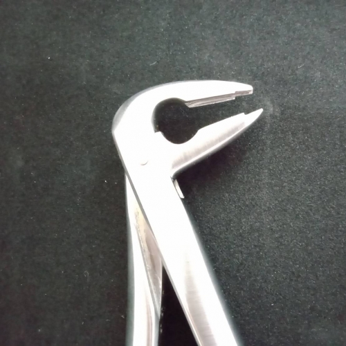 Extraction forceps 拔牙鉗